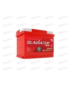 АКБ 60VL GLADIATOR EFB (L+) (1) (пт 600)(242х175х190) 2024 год