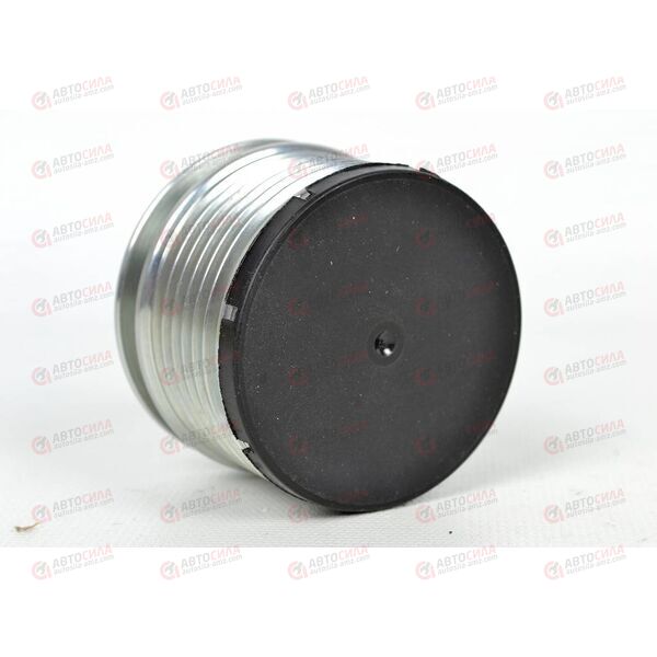 Шкив генератора Логан Drivealignr (6PK) (30438) ASAM
