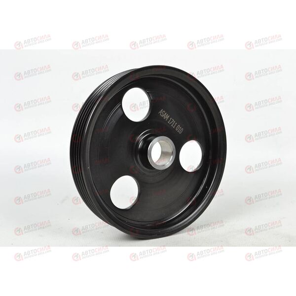 Шкив насоса ГУРа SANDERO/LOGAN/DUSTER/MEGANE I/CLIO II/KANGOO/LADA LARGUS/DACIA MCV (30421) ASAM