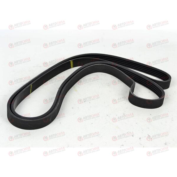 Ремень ручейковый 5PK1750 (1774035) Sasic