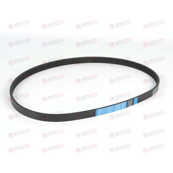 Ремень генератора Ланос 1,5 с ГУРом (ручейковый) Breco-Power (5PK970) (KG1100040) KAP
