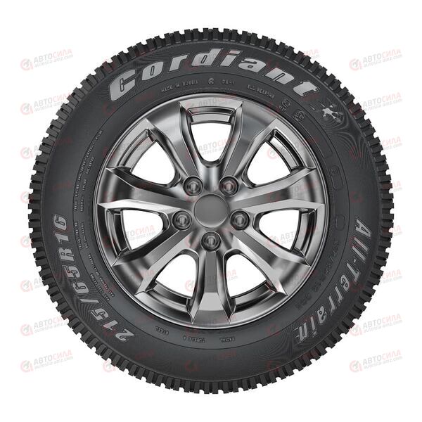 Автошина 215/65/R16 CORDIANT ALL TERRAIN OA-1 98H, изображение 2
