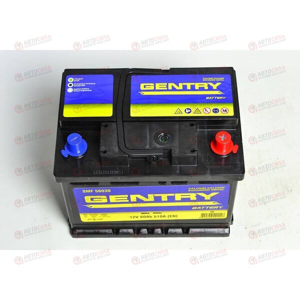 Аккумулятор 60VL GENTRY (R+) (0) SMF (пт 510)(242х175х190) ТУРЦИЯ, изображение 3