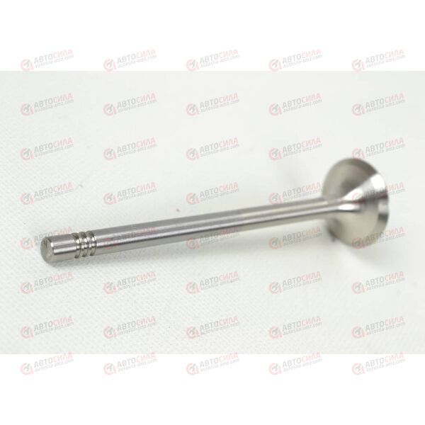 Клапан выпускной (R6014/BM) FRECCIA, изображение 3