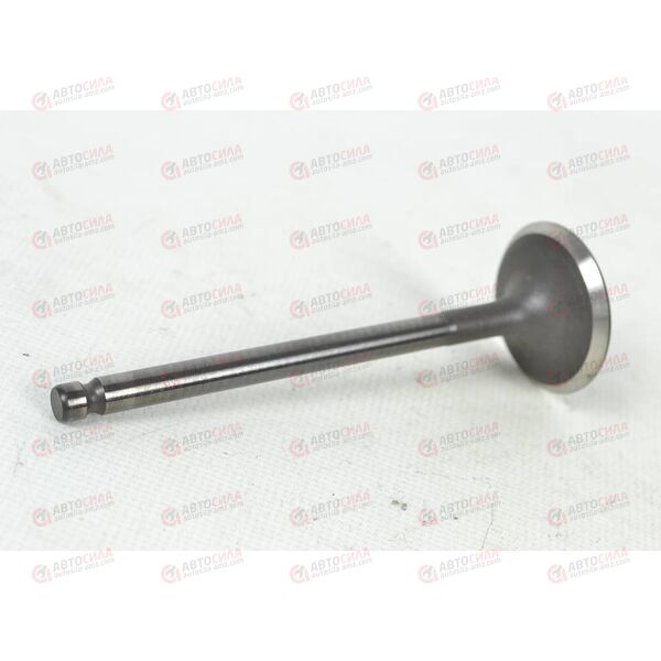 Клапан впускной SHINHAN (22211-37201) OEM РАСПРОДАЖА, изображение 2