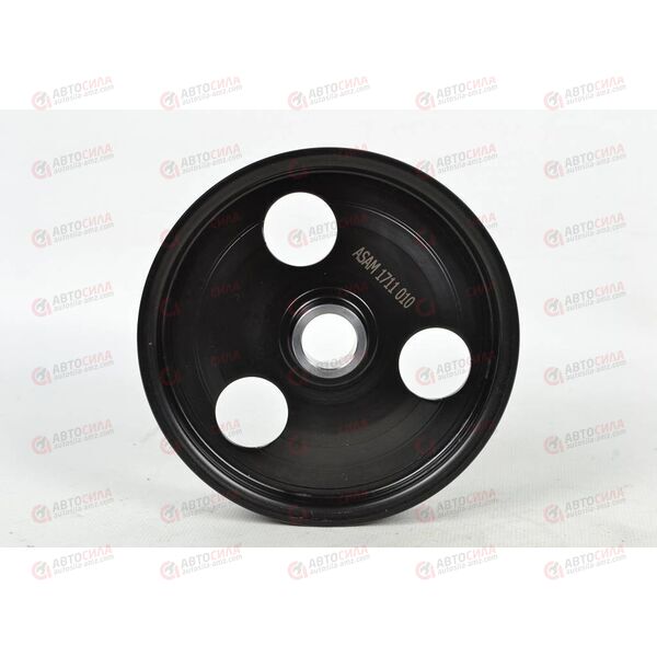 Шкив насоса ГУРа SANDERO/LOGAN/DUSTER/MEGANE I/CLIO II/KANGOO/LADA LARGUS/DACIA MCV (30421) ASAM, изображение 2