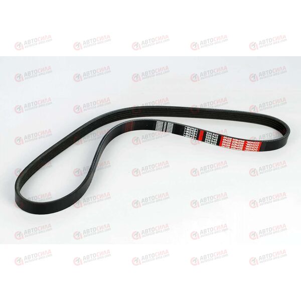 Ремень генератора Geely (5PK955) DONGIL, изображение 2
