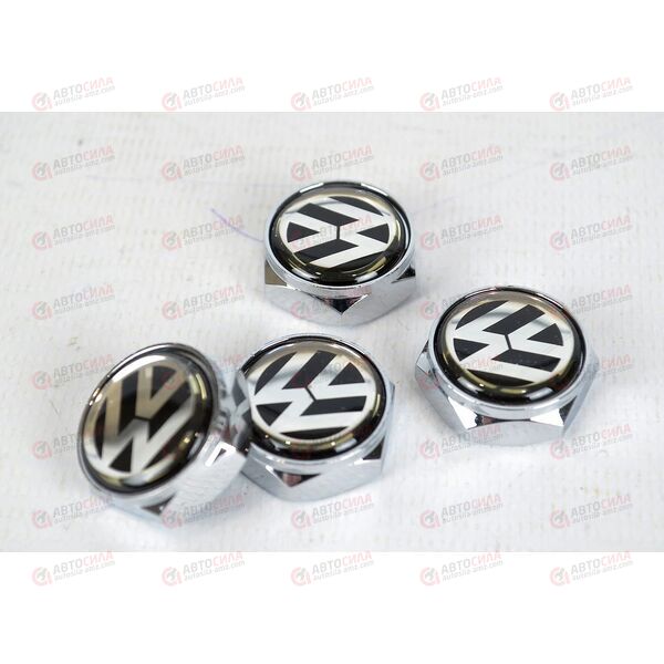 Болт крепления номерного знака VOLKSWAGEN металлик (4 шт) AV