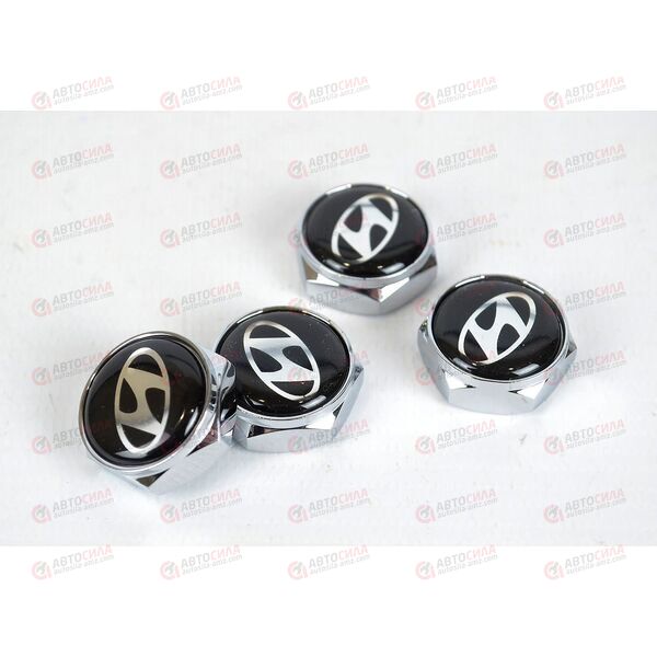 Болт крепления номерного знака HYUNDAI металлик (4 шт) AV